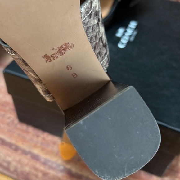 Coach - BETSY MAT CALF/LUX SNAKE - Picture 4 of 4